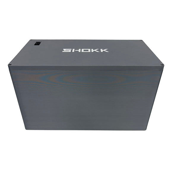 Batterie au lithium-ion pour Quadriporteur/Tri-porteur 60V Standard