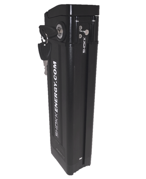 Batterie au lithium-ion pour vélo électrique 48V Lithium-ion
