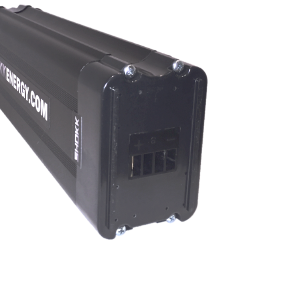 Batterie au lithium-ion pour vélo électrique 48V Lithium-ion
