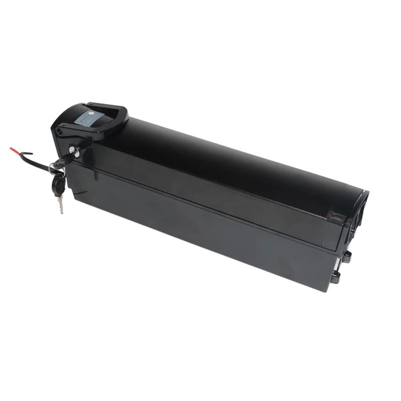 Batterie au lithium-ion 48V TG-3